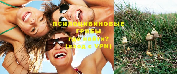 СК Мегион