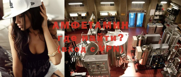 молекула духа Медвежьегорск