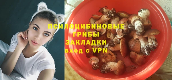 молекула духа Медвежьегорск