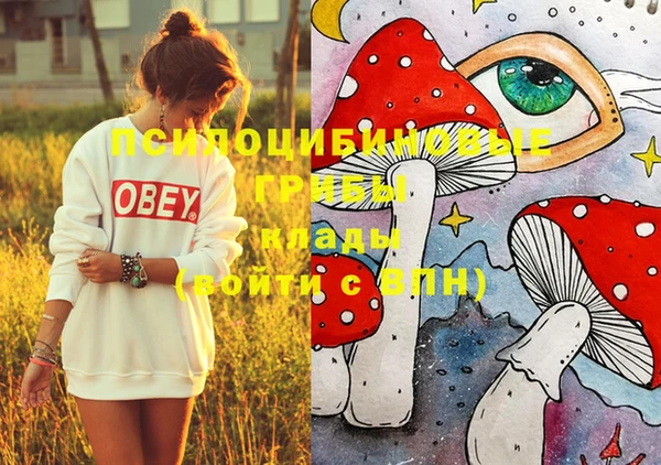 СК Мегион