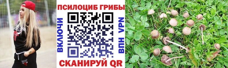 kraken ССЫЛКА  купить  сайты  Мамадыш  Псилоцибиновые грибы GOLDEN TEACHER 